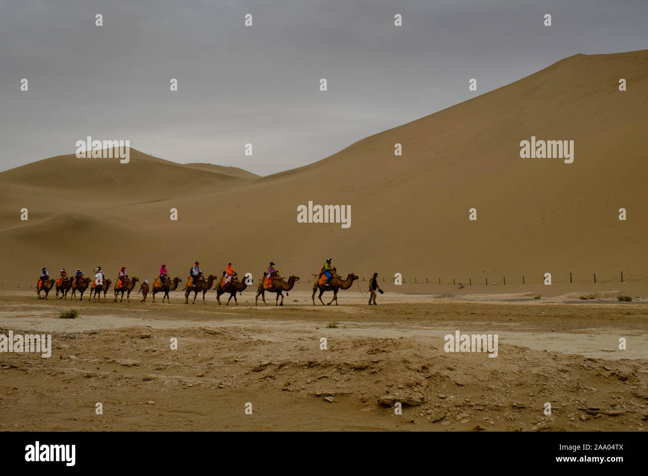 Chinesische Touristen auf einen Kamelritt in der Wüste Mingsha singende Sanddünen Stockfoto