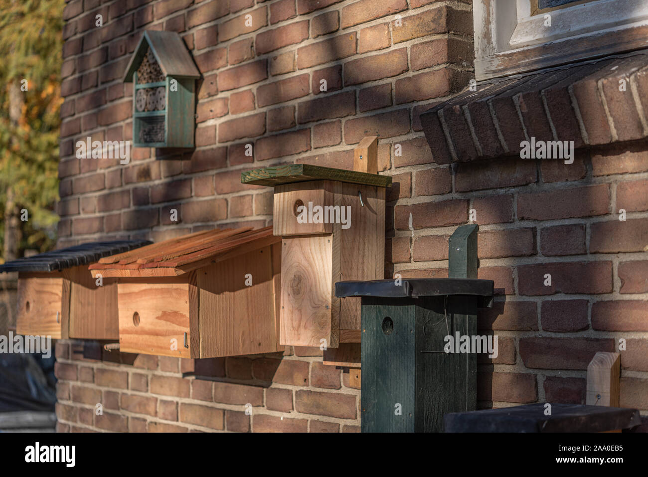 Neue Vogelhaus für die Fütterung der Vögel auf einem Stein an der Wand montiert Stockfoto