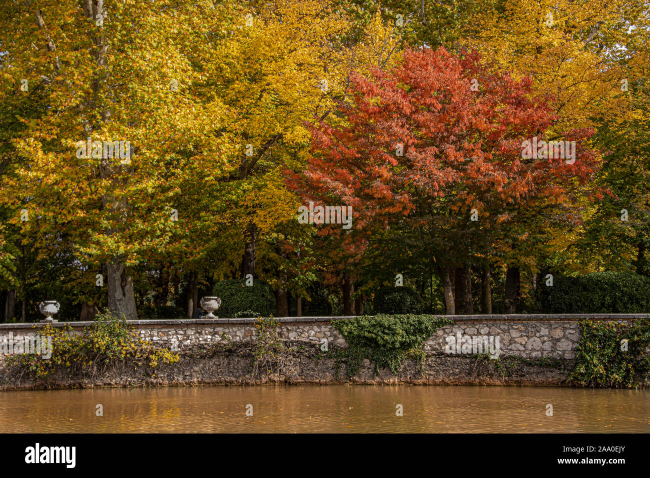 Tajo River Bank, wie es durch die Gärten von Aranjuez ein Herbst Tag vergeht. Gemeinschaft von Madrid. Spanien Stockfoto