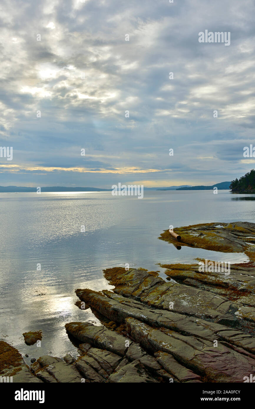 Ein bewölkter morgen Bild eines felsigen Strand an der Küste von Vancouver Island, British Columbia Kanada Stockfoto