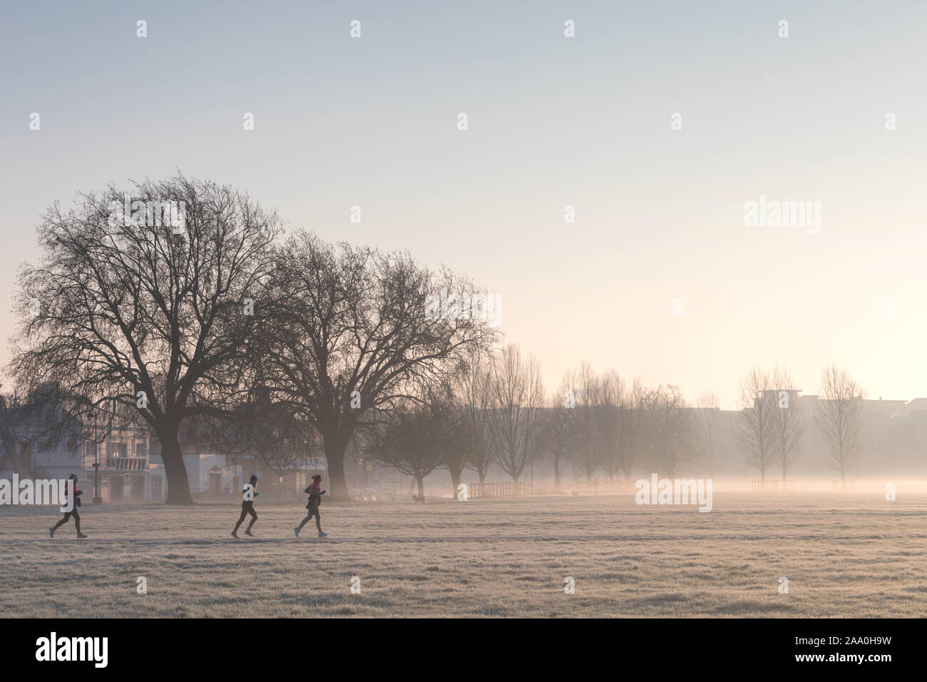 Jogger am frühen Morgen laufen, Mittsommer gemeinsam, Cambridge Großbritannien Stockfoto
