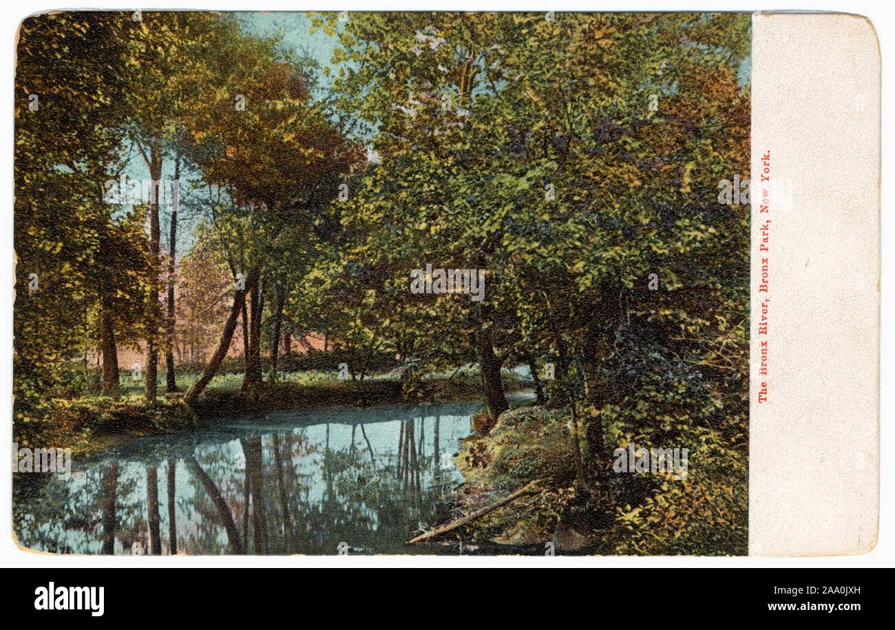 Illustrierte Postkarte von einen malerischen Blick auf die Bronx River, Bronx Park, New York City, die von H. C, 1905 veröffentlicht. Leighton Co. Aus der New York Public Library. () Stockfoto