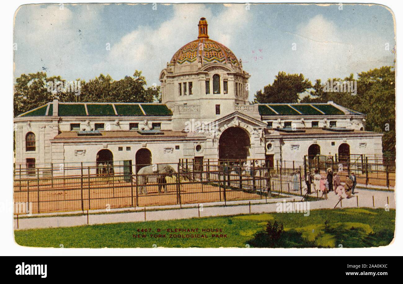 Illustrierte Postkarte von Touristen, die in der Elephant House (jetzt als das Zoo Center bekannt) an der New York City Zoological Park, die jetzt als die Bronx Zoo, New York City, von der New York Zoological Society, 1908 veröffentlicht. Von der New York Public Library. () Stockfoto