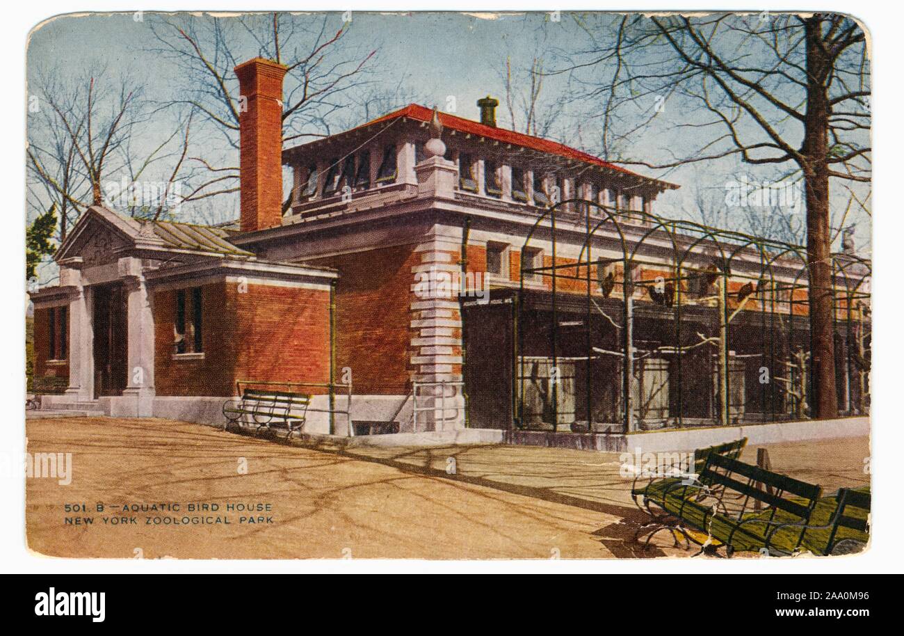 Illustrierte Postkarte von der Außenseite der Aquatischen Vogel Haus an der New York City Zoological Park, die jetzt als die Bronx Zoo, New York City, von der New York Zoological Society, 1908 veröffentlicht. Von der New York Public Library. () Stockfoto