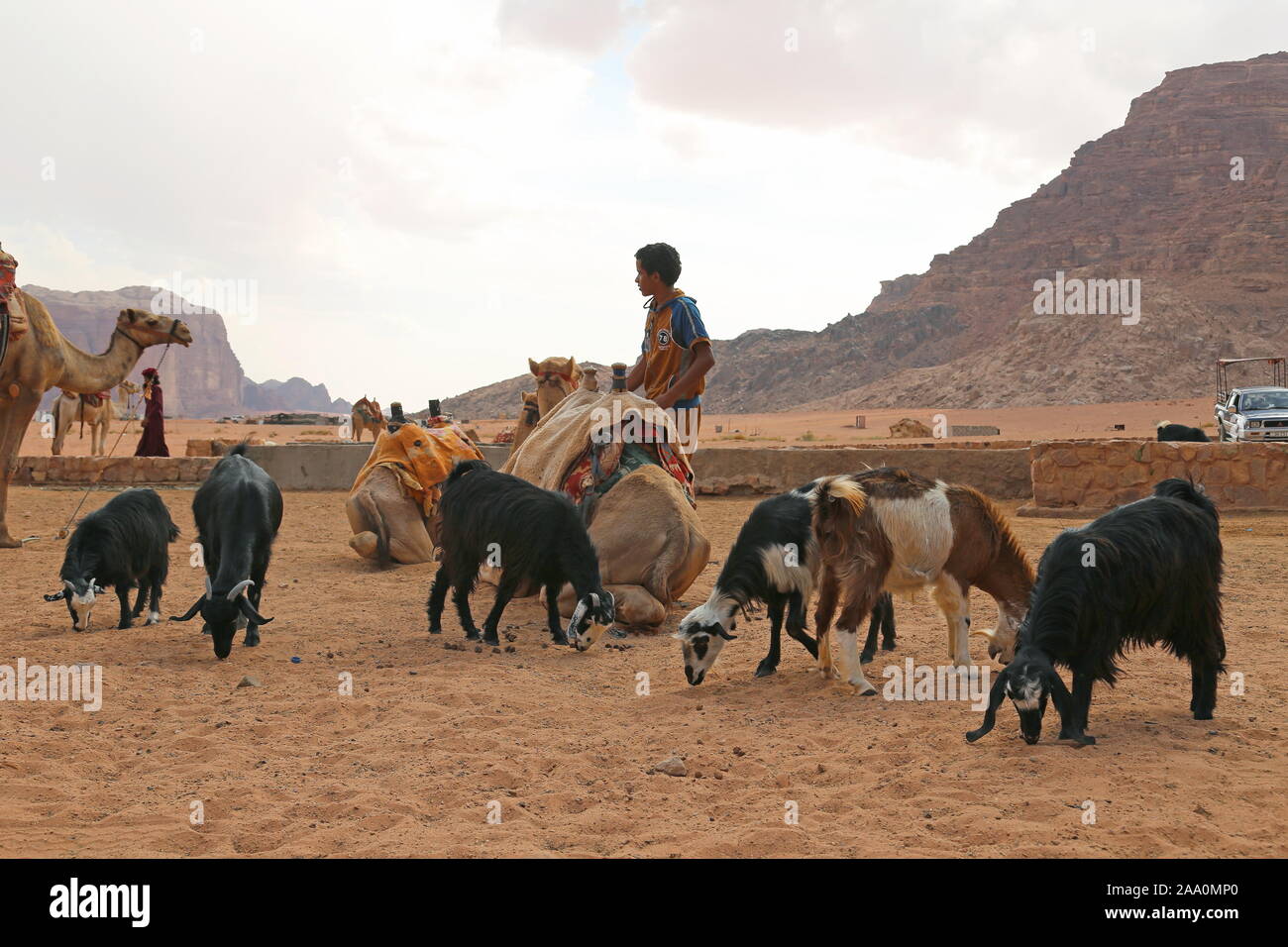 Ain Abu Aineh (manchmal fälschlicherweise als Lawrence Spring dargestellt), Wadi Rum Protected Area, Gouvernement Aqaba, Jordanien, Naher Osten Stockfoto