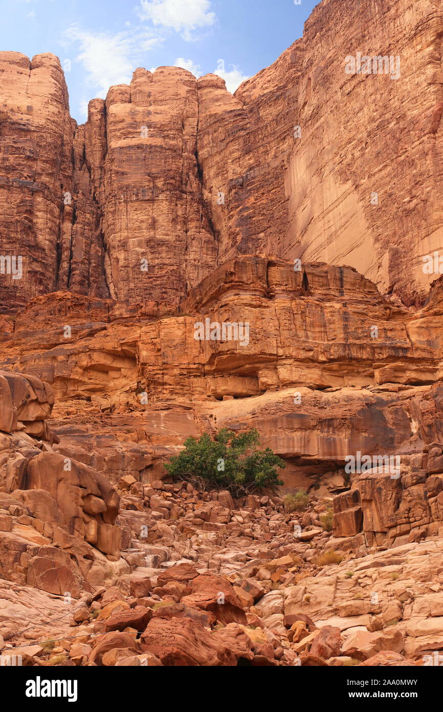 Ain Abu Aineh (manchmal fälschlicherweise als Lawrence Spring dargestellt), Wadi Rum Protected Area, Gouvernement Aqaba, Jordanien, Naher Osten Stockfoto