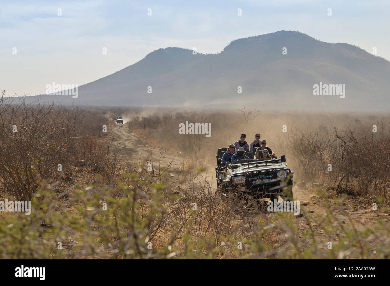 Pirschfahrt auf Safari Stockfoto