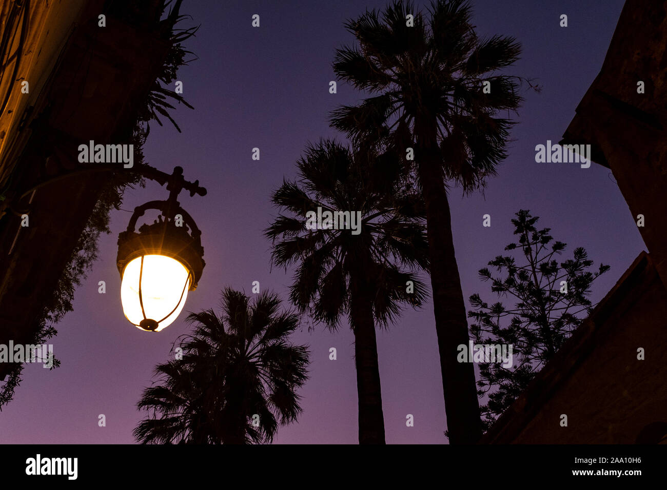 Palmen und Laterne. Sonnenuntergang, über die Carrer d'Elisabets, El Raval, Barcelona Stockfoto