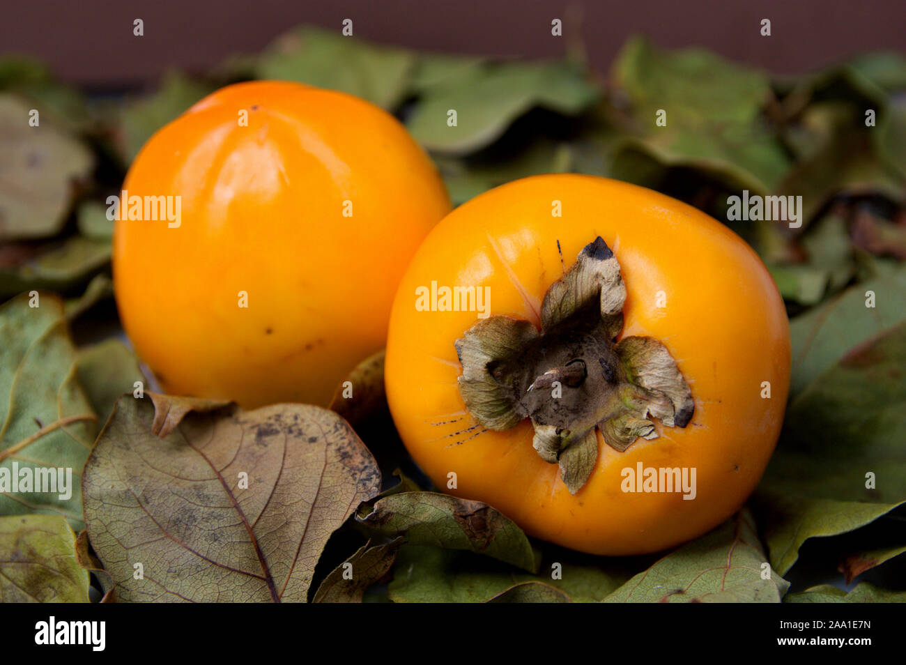 In der Nähe von ein paar reife Persimonen, die auf getrocknete Dattel Blätter Stockfoto