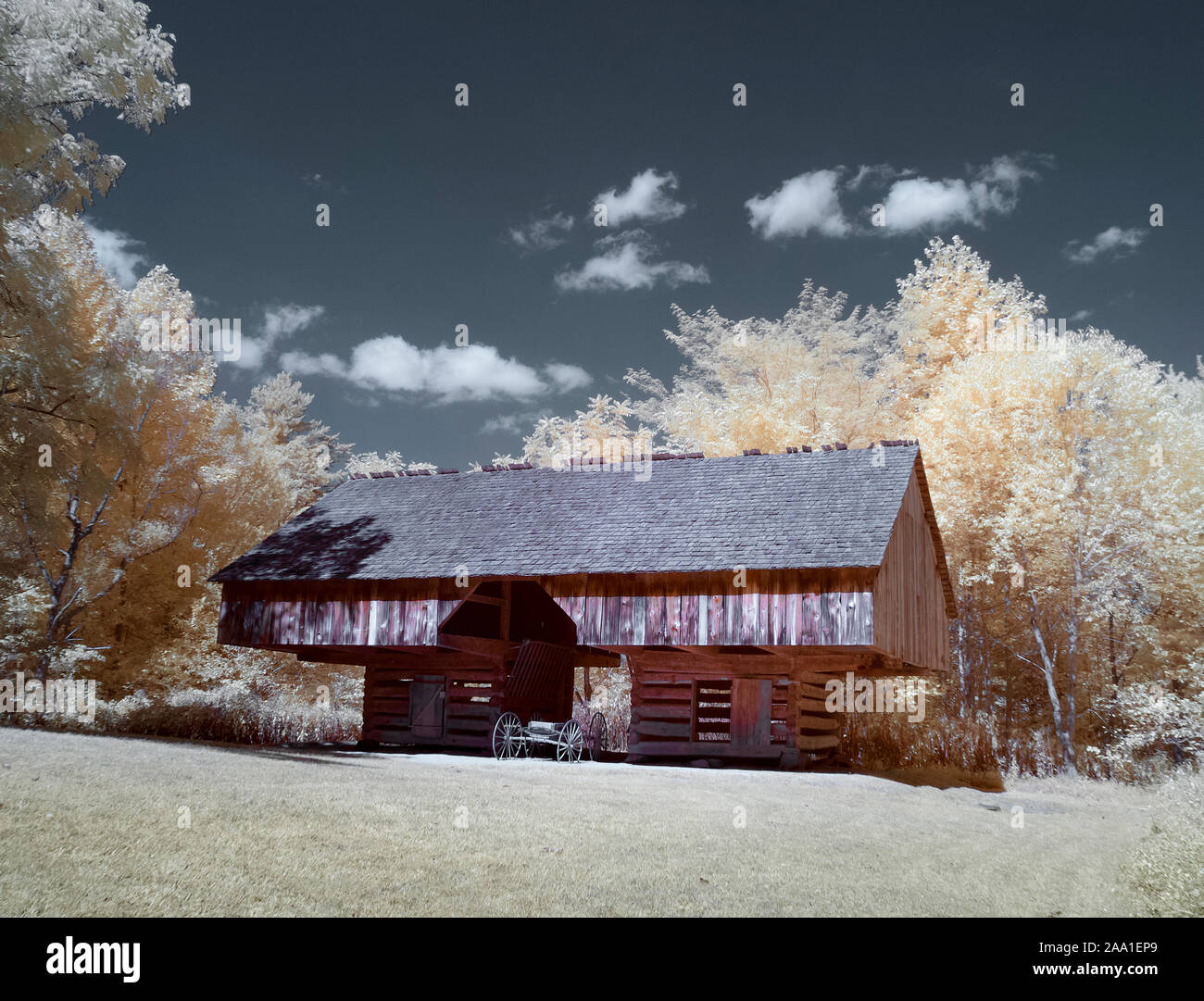 Falsche Farbe rot Infrarot Fotografie der Freitragende Scheune Tipton Haus in Cades Cove in der Great Smoky Mountains National Park, Tennessee Stockfoto