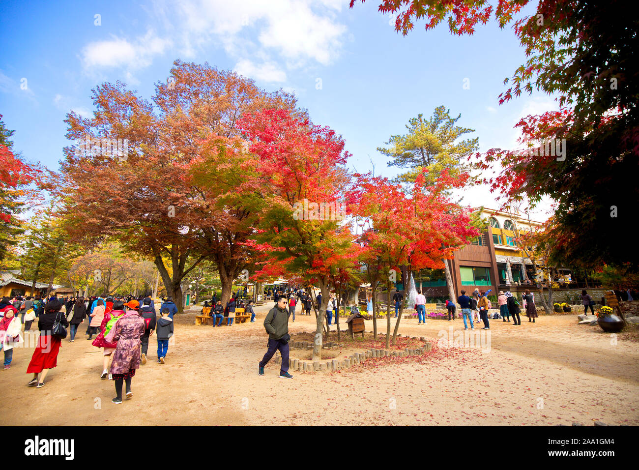 Insel Nami, S. KOREA - Oktober 27, 2019: Schöne Landschaft im Inneren Insel Nami, wo Tausende von Touristen, diesen Ort zu besuchen jeden zu genießen Stockfoto