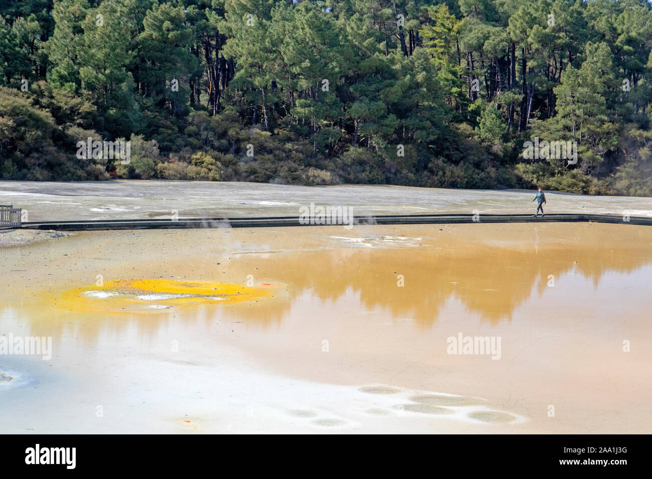 Geothermale Landschaft im Wai-O-Tapu Thermal Wonderland Stockfoto