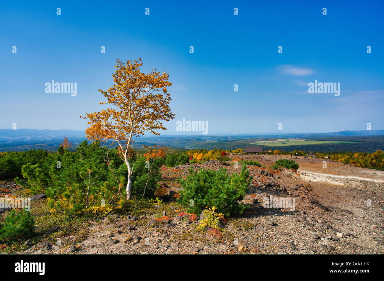 Mt. Tokachi, Herbst Stockfoto