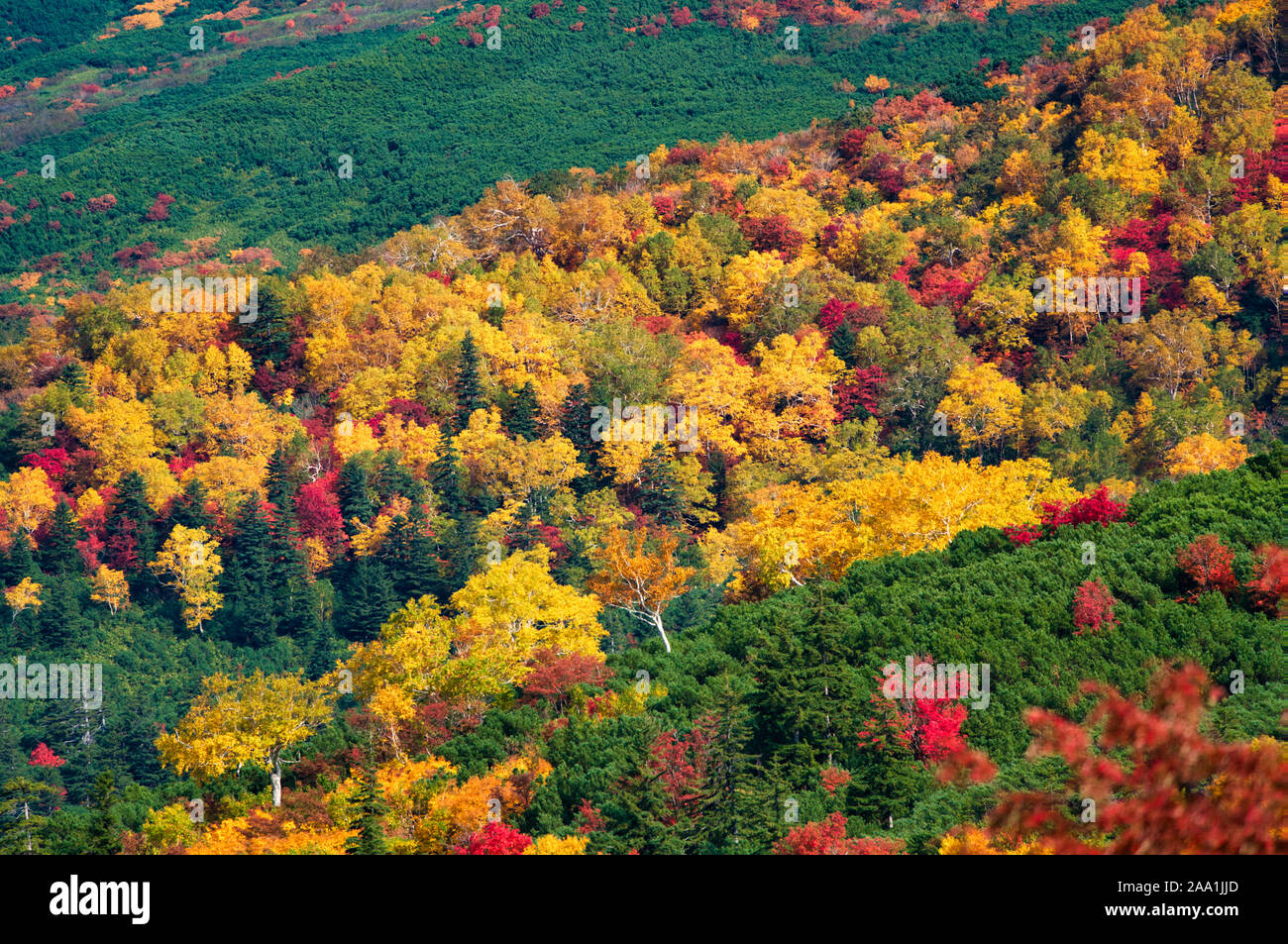 Mt. Tokachi, Herbst Stockfoto