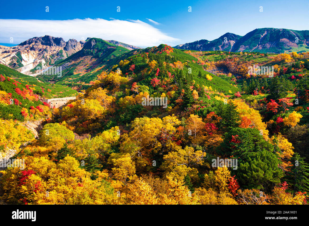 Mt. Tokachi, Herbst Laub, Hokkaido Prefecture, Japan Stockfoto