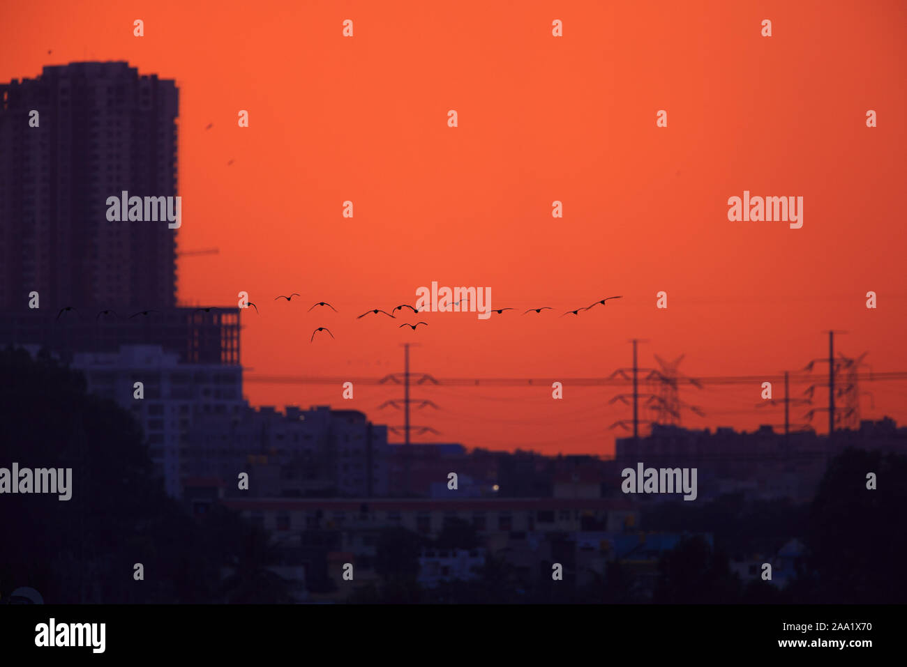 Skyline der Stadt während des Sonnenuntergangs. Eine Herde von fliegenden Vögeln ergänzt die Szene. (Bangalore) Stockfoto