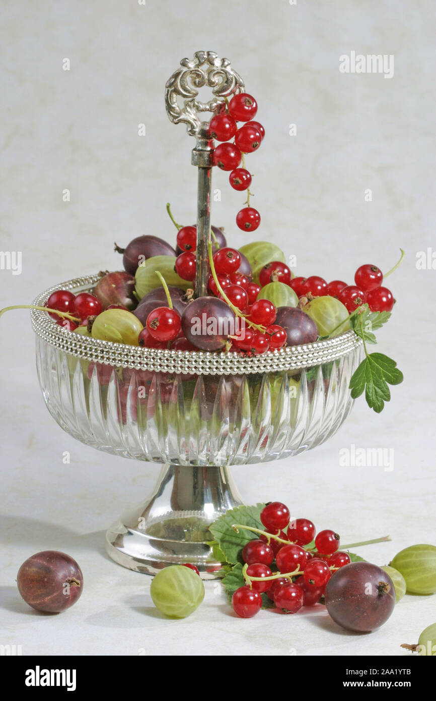 Früchteschale aus Kristall mit roten Johannisbeeren, Roten und Grünen Stachelbeeren/Kristall Schale mit roten Johannisbeeren, rote und grüne gooseberrie Stockfoto