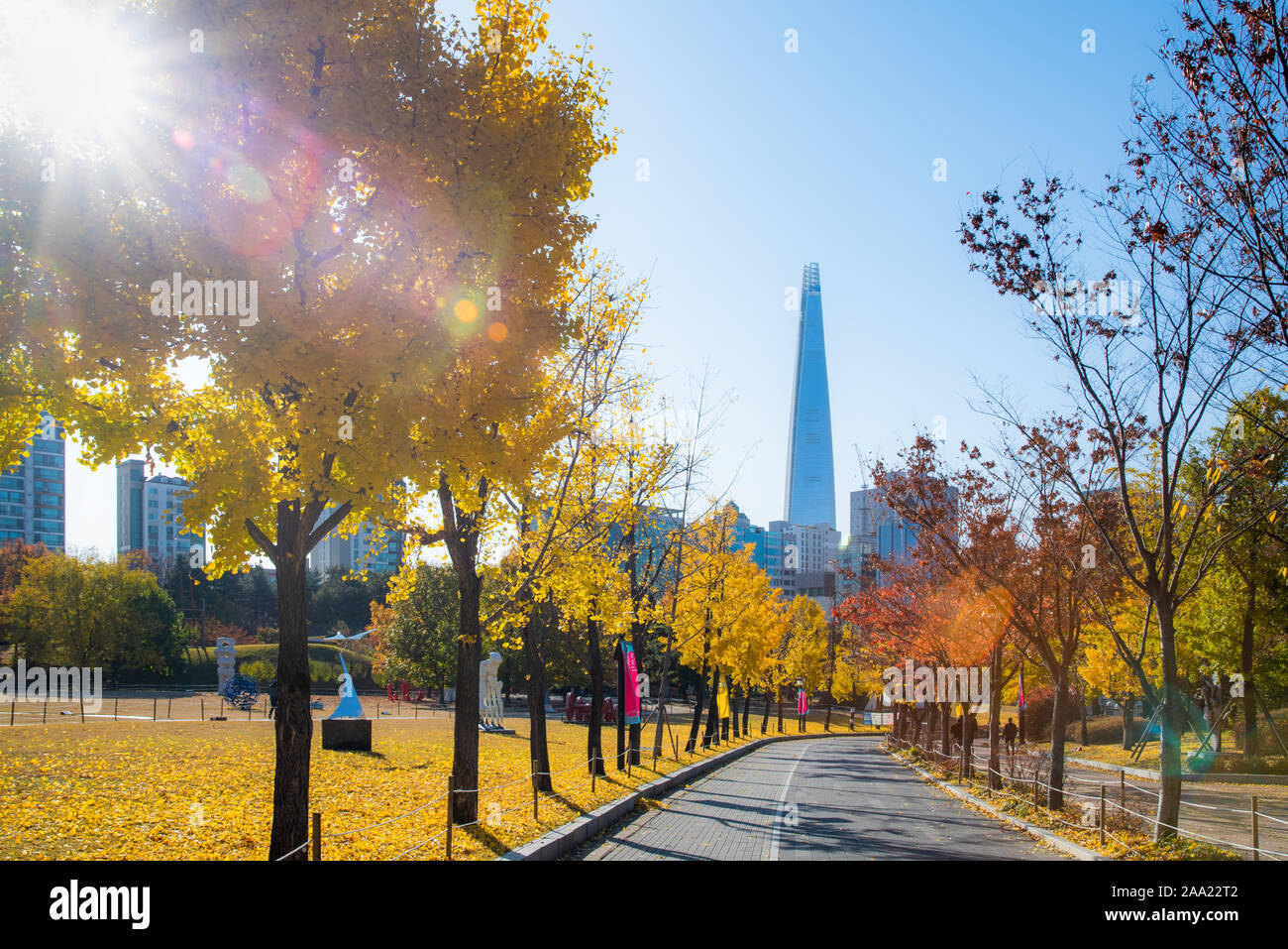 Herbstblätter. Herbstlandschaft. Seoul Olympic Park in Südkorea. Stockfoto