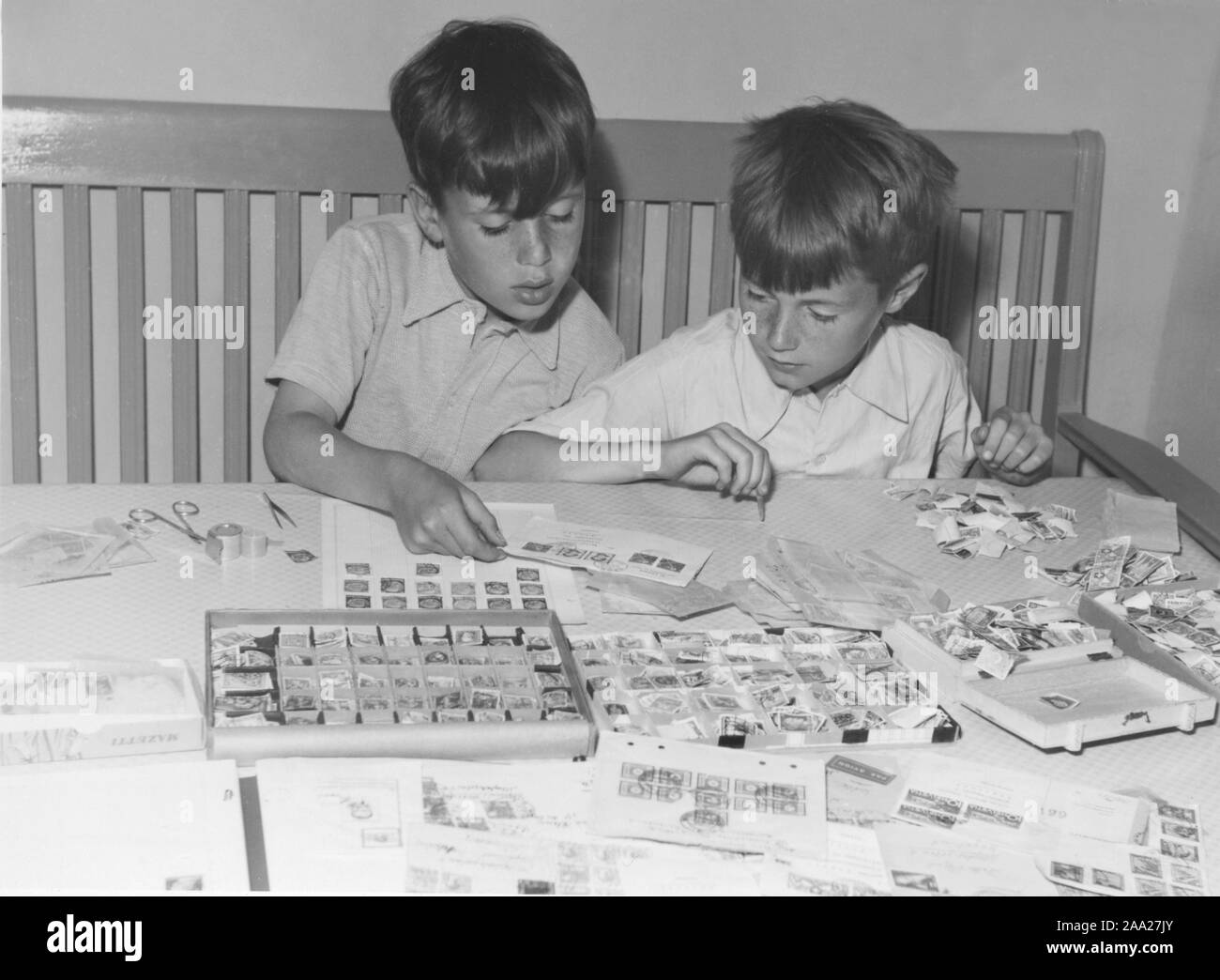 Hobby in den 1950er Jahren. Zwei Jungen sitzt an einem Tisch mit ihrer Sammlung von Briefmarken. Es sieht so aus, als ob die vielen verschiedenen Briefmarken sortiert und kategorisiert. Schweden 1950 Stockfoto