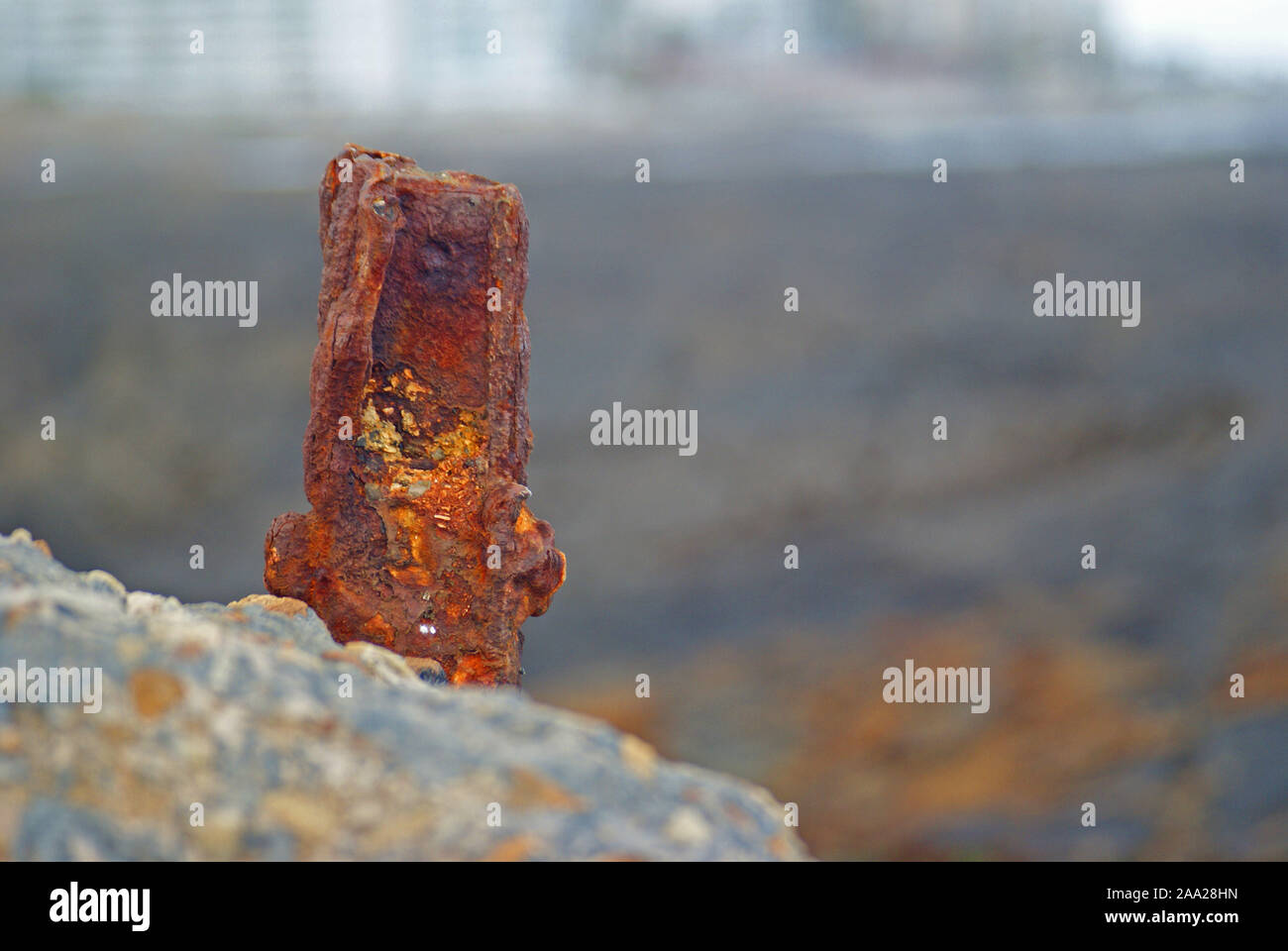 Rusty post in Shoreline Beton Stockfoto