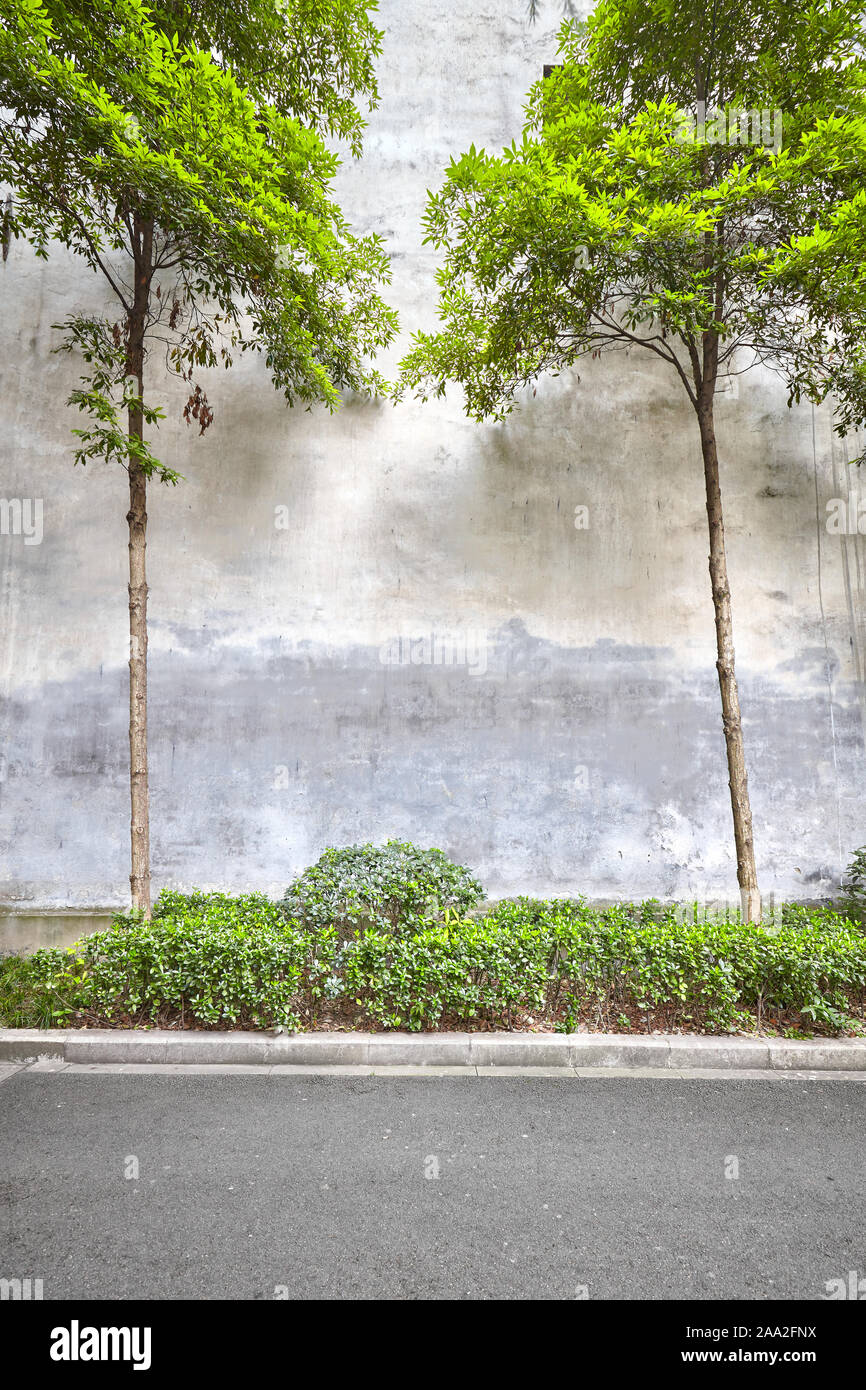 Alte Mauer mit Bäumen und Pflanzen, Platz für Text. Stockfoto