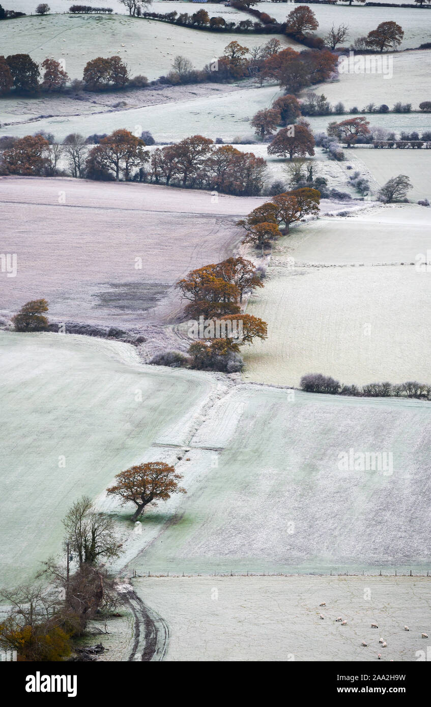 Brighton UK November 2019 19 - Am frühen Morgen Nebel und Frost legt über die Landschaft von der South Downs Nördlich von Brighton nach der kältesten Nacht der Herbst so weit mit Temperaturen tauchen so niedrig wie minus 9 Grad in einigen Teilen von Schottland. Foto: Simon Dack/Alamy leben Nachrichten Stockfoto