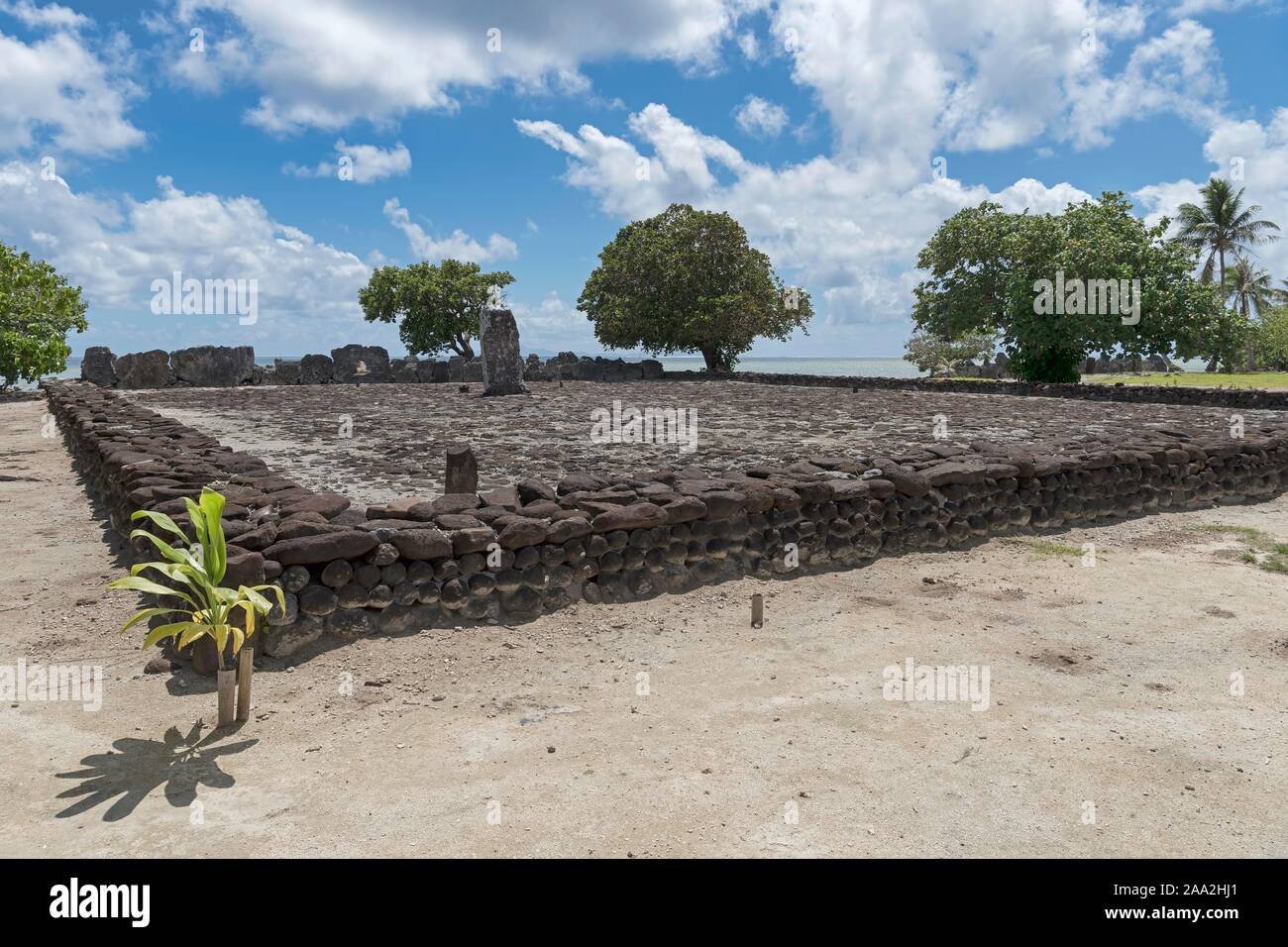 Kultstätte mit Bengal Mandel (Terminalia catappa), religiöse Zentrum des Polynesischen Ureinwohner, Marae Taputapuatea, Raiatea, Französisch-Polynesien Stockfoto