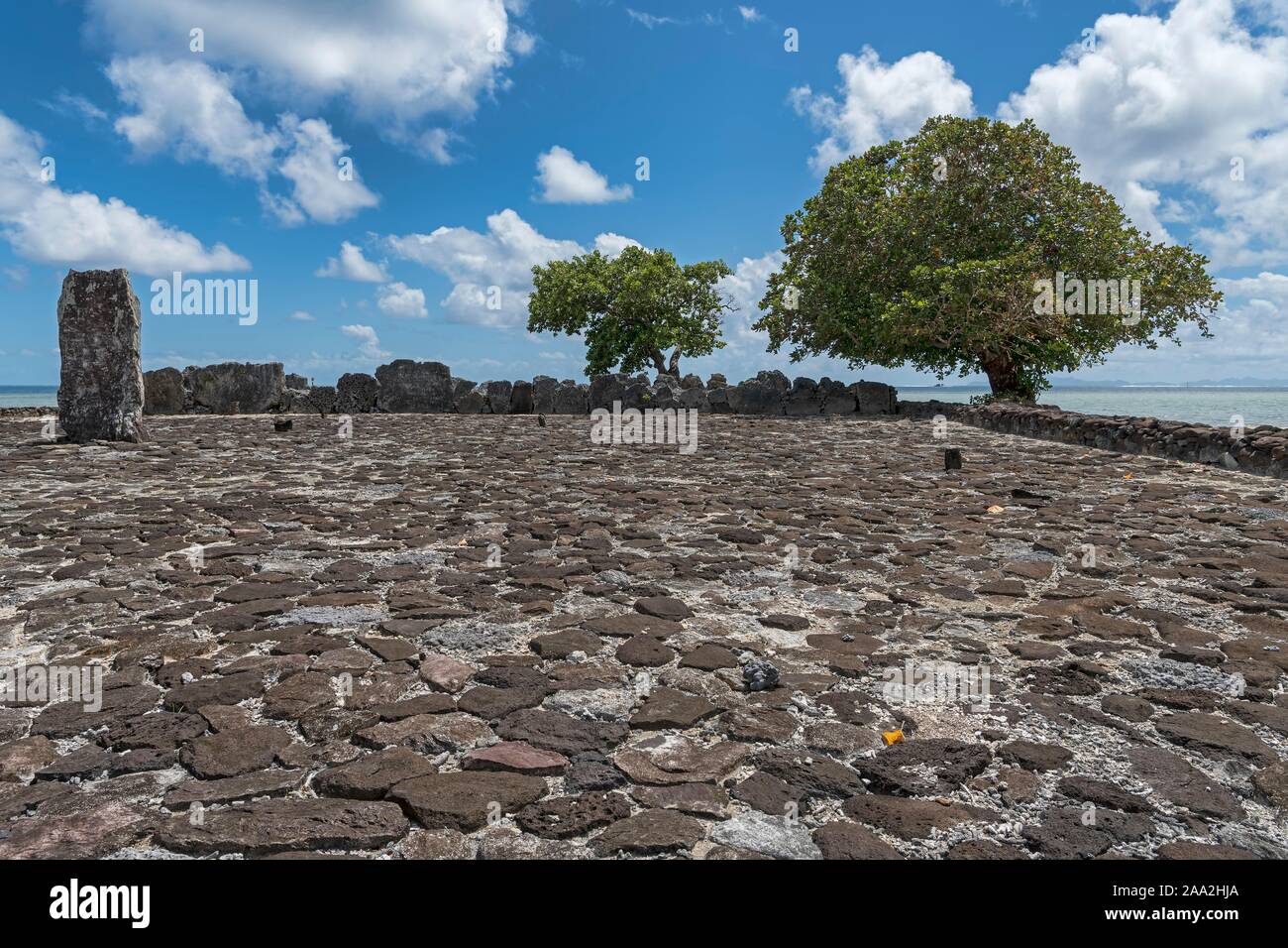 Kultstätte mit Bengal Mandel (Terminalia catappa), religiöse Zentrum des Polynesischen Ureinwohner, Marae Taputapuatea, Raiatea, Französisch-Polynesien Stockfoto