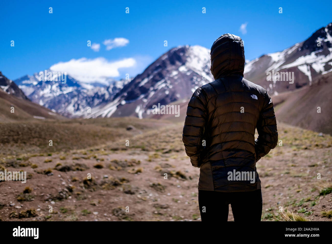 Sie trägt ein The North Face insulated Jacke an Aconcagua Park mit dem Mount Aconcagua in den Hintergrund verschwommen, Provinz Mendoza, Argentinien Stockfoto
