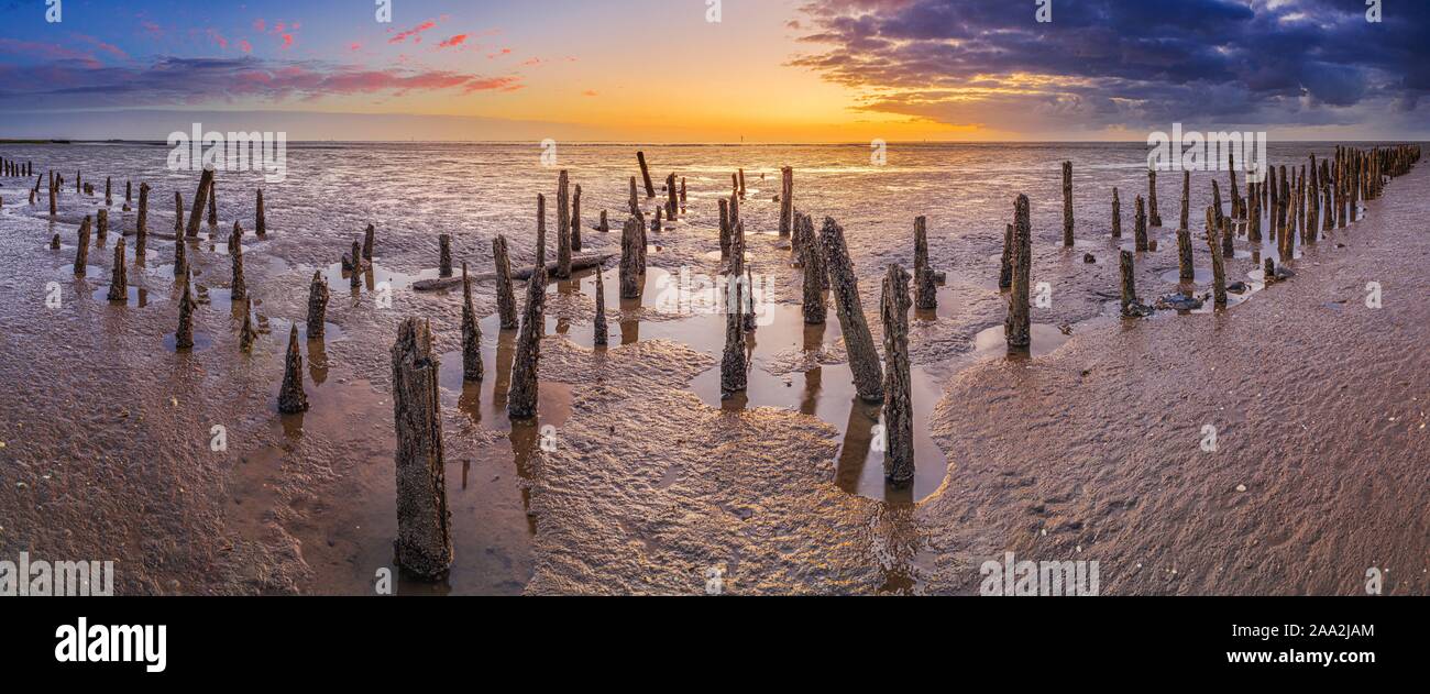 Alte buhnen in der Nordsee bei Ebbe, Wremen, Cuxhaven, Deutschland, Niedersachsen Stockfoto