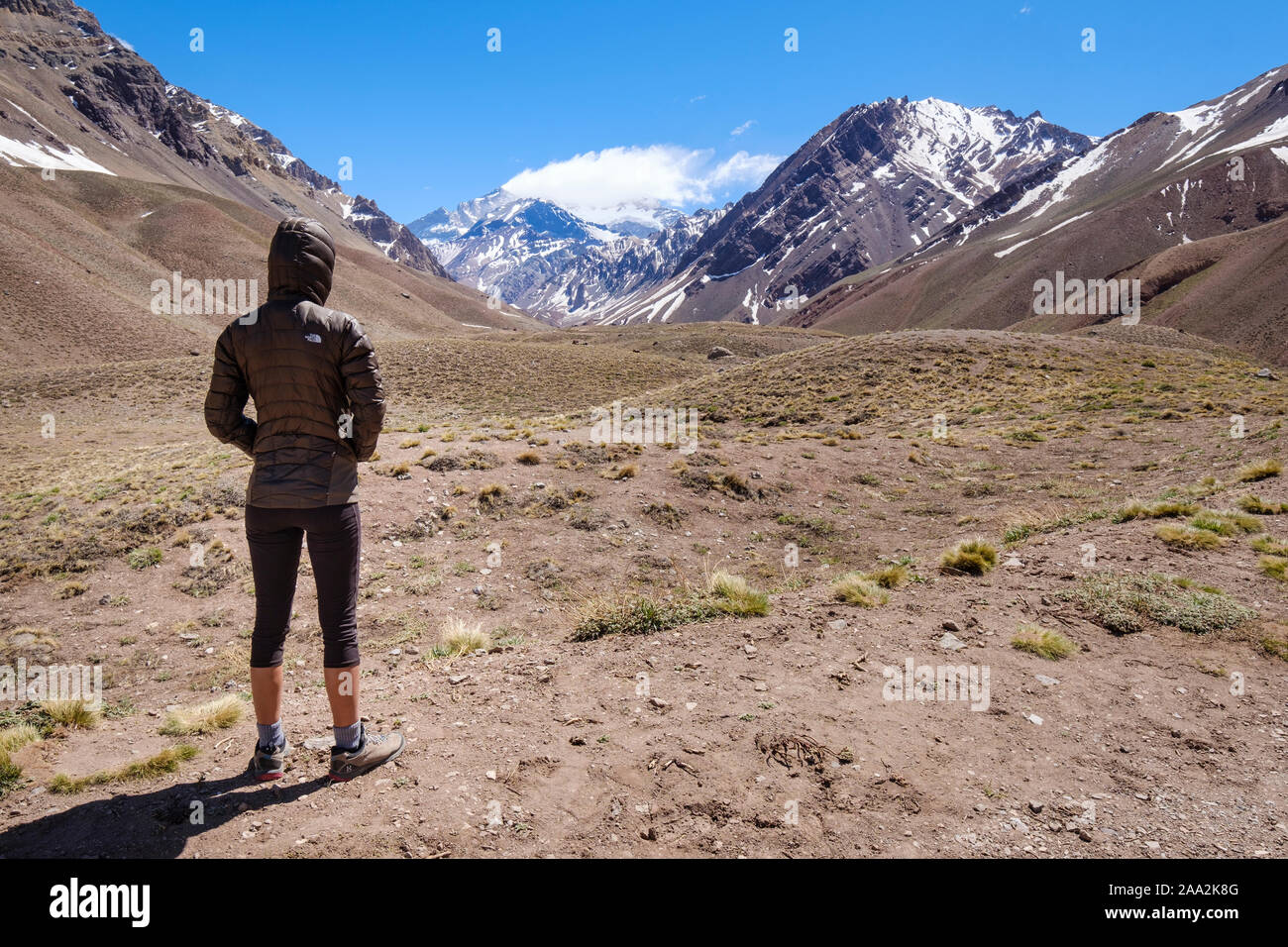 Weibliche Besucher am Aconcagua Park am Aconcagua Peak im Hintergrund suchen, Provinz Mendoza, Argentinien Stockfoto