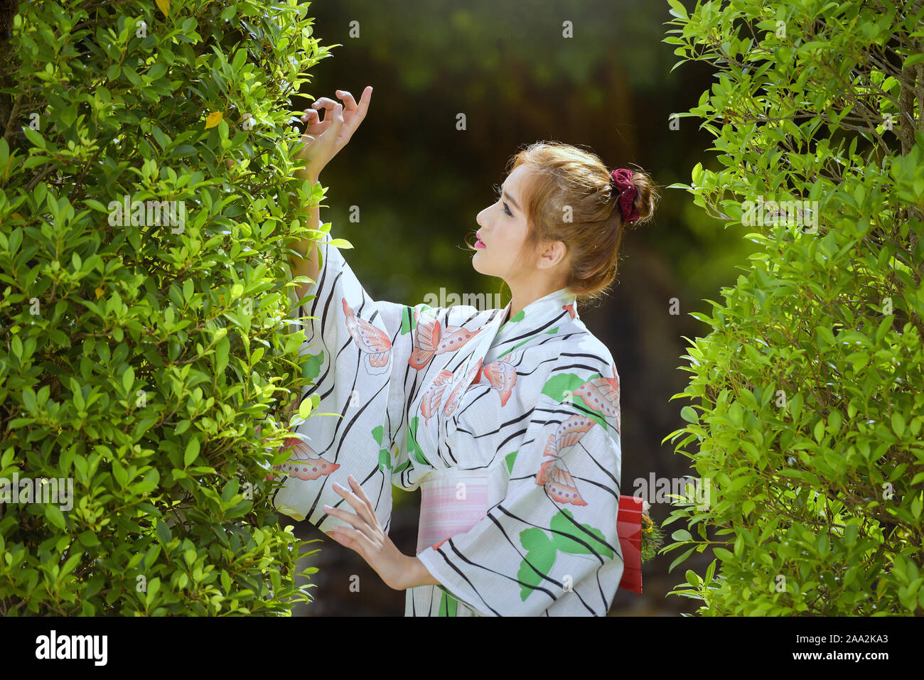 Frau trägt einen Kimono Berühren eines Hedge, Thailand Stockfoto