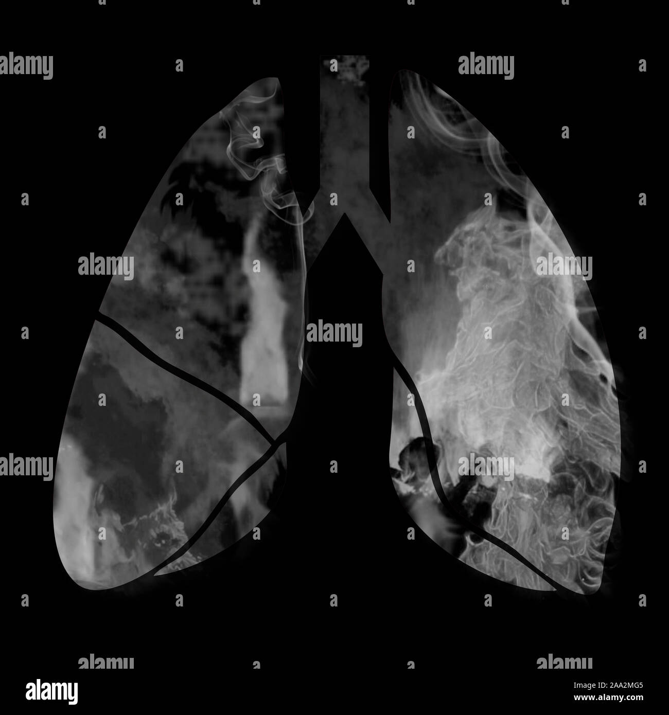 Lungen Silhouette mit Rauch in, 3D-Darstellung Stockfoto