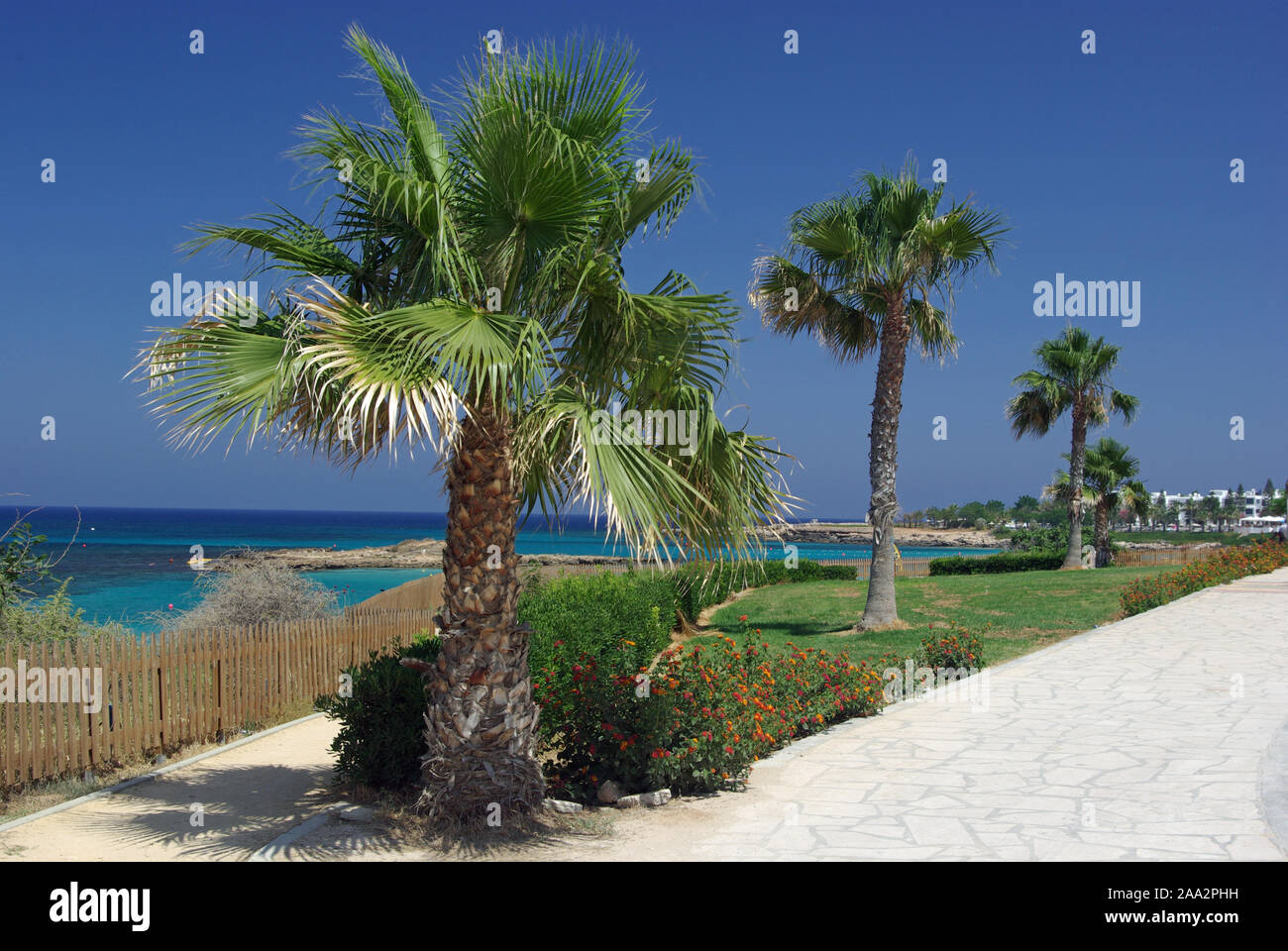 Fig Tree Bay Protaras Zypern Stockfoto