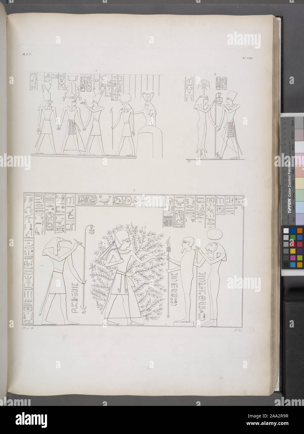 Keywords: Ibis - vorangegangen Gott, Göttin, Seshat (ägyptische Gottheit).; 1. Ramses III. in Mezzo ad Horus ed Atmu [Atum]. 2. Riceve la panegiria da Saf [Seshat]. 3. Sta in Mezzo all'albero Persea? Tra Thoth, Phtah e Pasct. Stockfoto