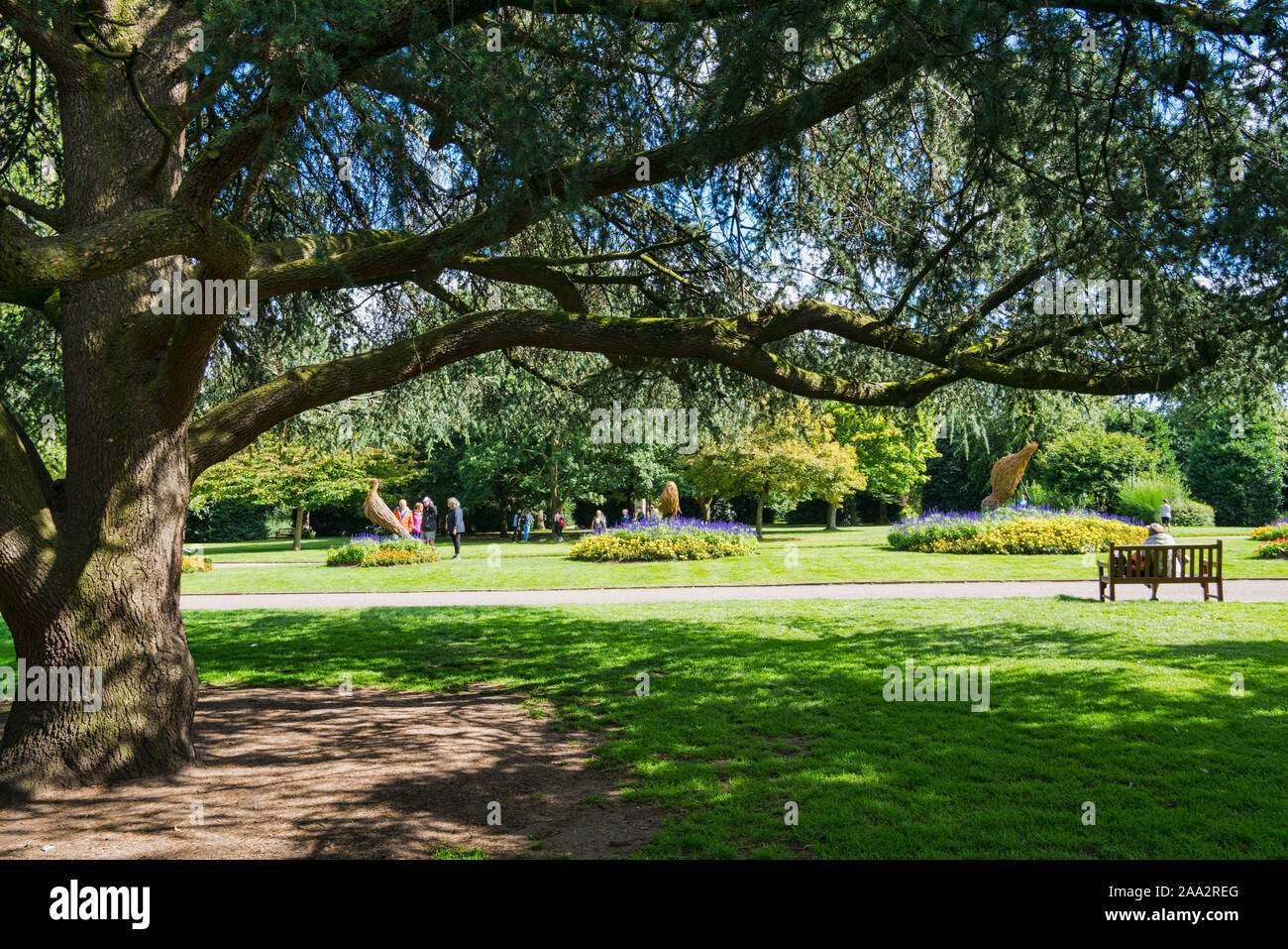 Chester City, schöne Grosvenor Park, Blumen, sonnig, England, Großbritannien Stockfoto