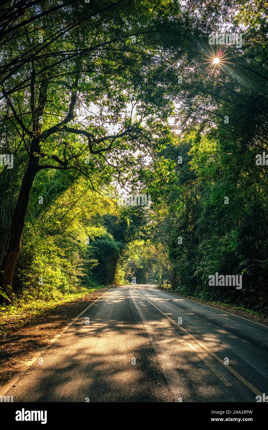 Morgen Sonne scheint durch die Bäume auf der Landstraße in Thailand Stockfoto