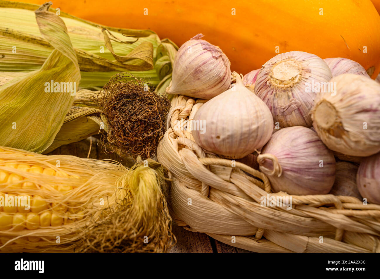 Eine Schale Ähre, junger Knoblauch in einem Weidenkorb, Marmor Kürbisse und gelben Zucchini auf dem Tisch. Herbst Ernte. Gesunde Ernährung. Fitness sterben Stockfoto