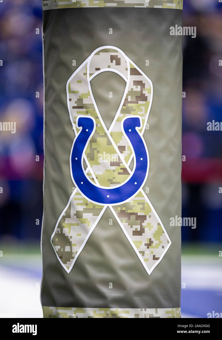 Indianapolis, Indiana, USA. 17. Nov, 2019. Indianapolis Colts ehre Veteranen während NFL Football Spiel Action zwischen der Jacksonville Jaguars und die Indianapolis Colts im Lucas Oil Stadium in Indianapolis, Indiana. Indianapolis Jacksonville 33-13 besiegt. Johann Mersits/CSM/Alamy leben Nachrichten Stockfoto