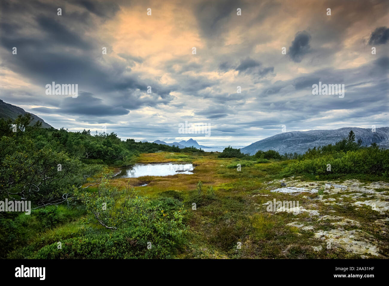 Alpinen See in einer ländlichen Landschaft, Lofoten, Nordland, Norwegen Stockfoto