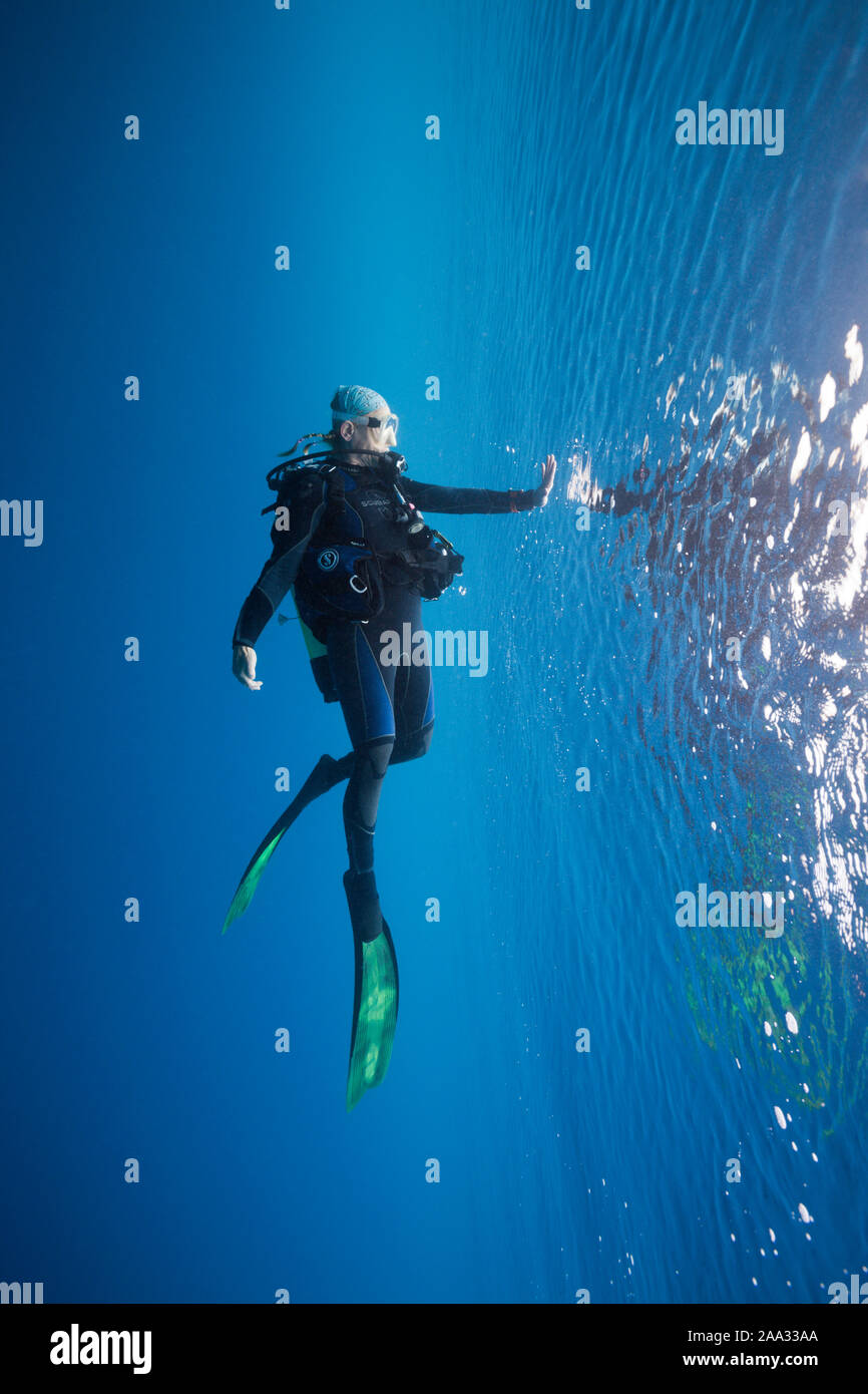 Taucher an der Wasseroberfläche, Süd Male Atoll, Malediven, Indischer Ozean Stockfoto