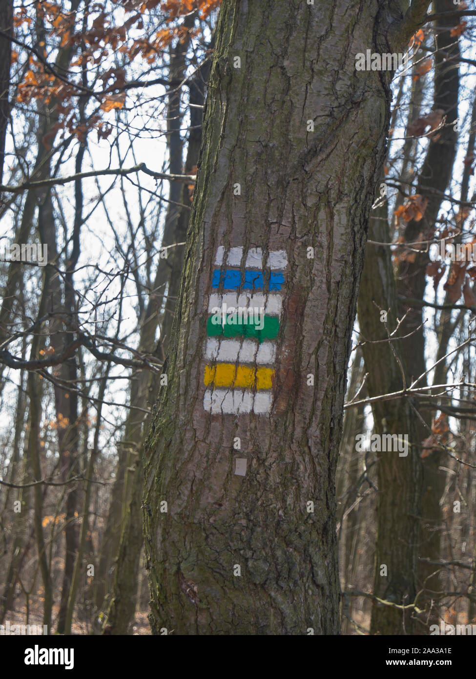 Markierten Weg für Wanderer im Wald in der Nähe von Ďáblický háj Ladvi in einem Vorort von Prag in der Tschechischen Republik, drei Wanderwege führt dieser Baum Stockfoto