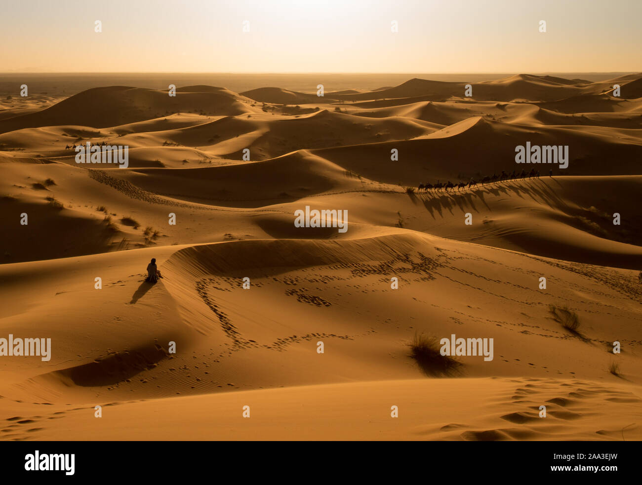 Sahara, Kamelritt, Sonnenuntergang, camel Caravan Stockfoto