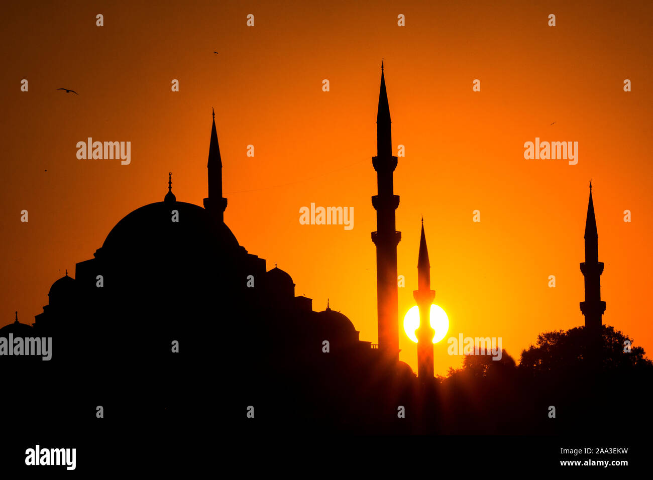 Moschee, Istanbul, Silhouette Sonnenuntergang Stockfoto