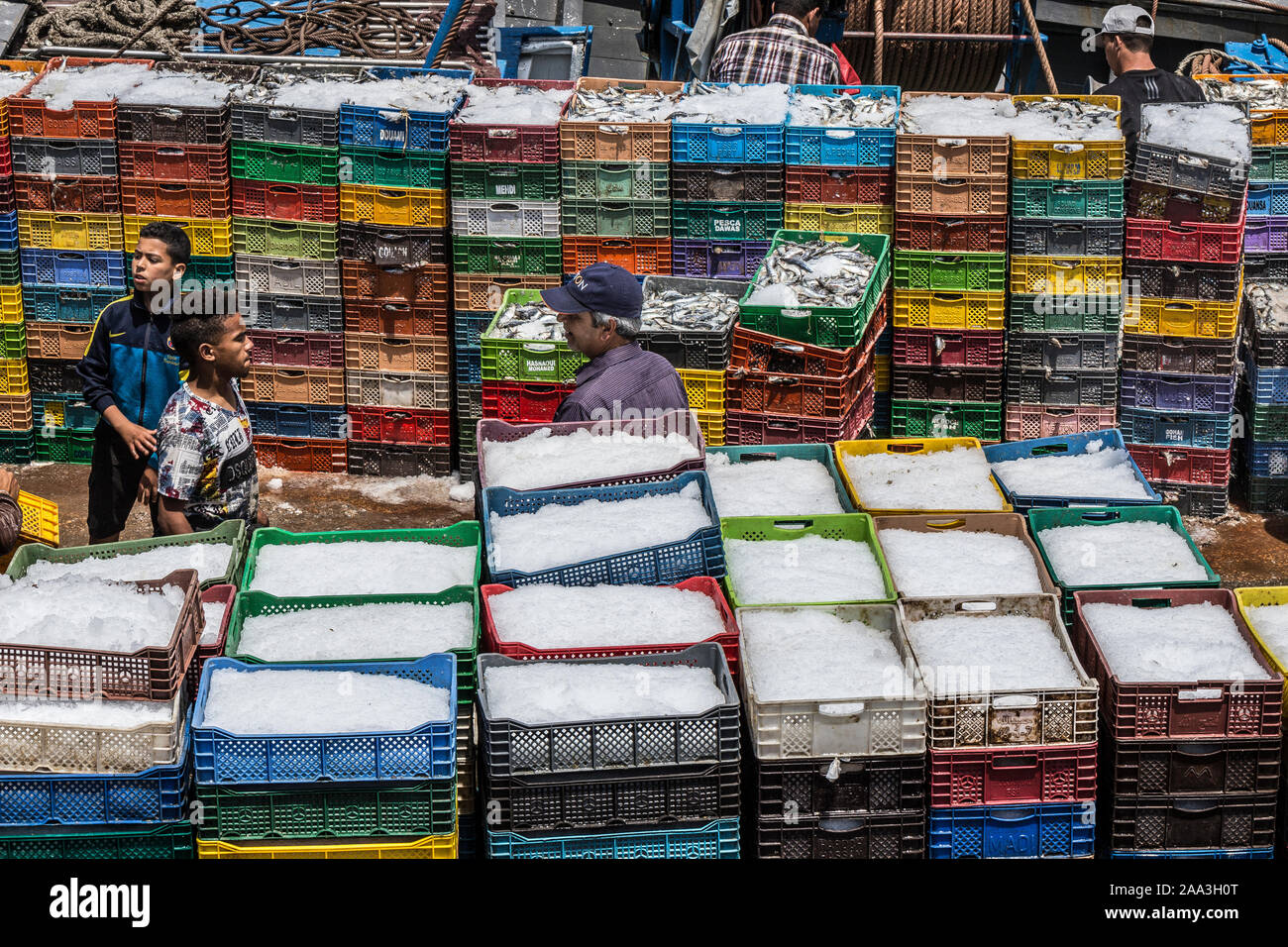 Fischmarkt, Essaouira, Marrakesh-Safi, Stockfoto