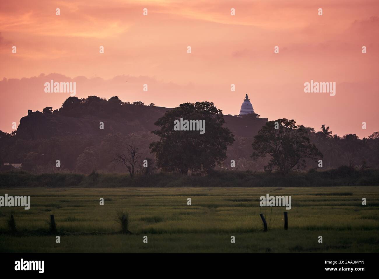 Landschaft mit Stupa in wunderschönen Sonnenuntergang, Sri Lanka Stockfoto