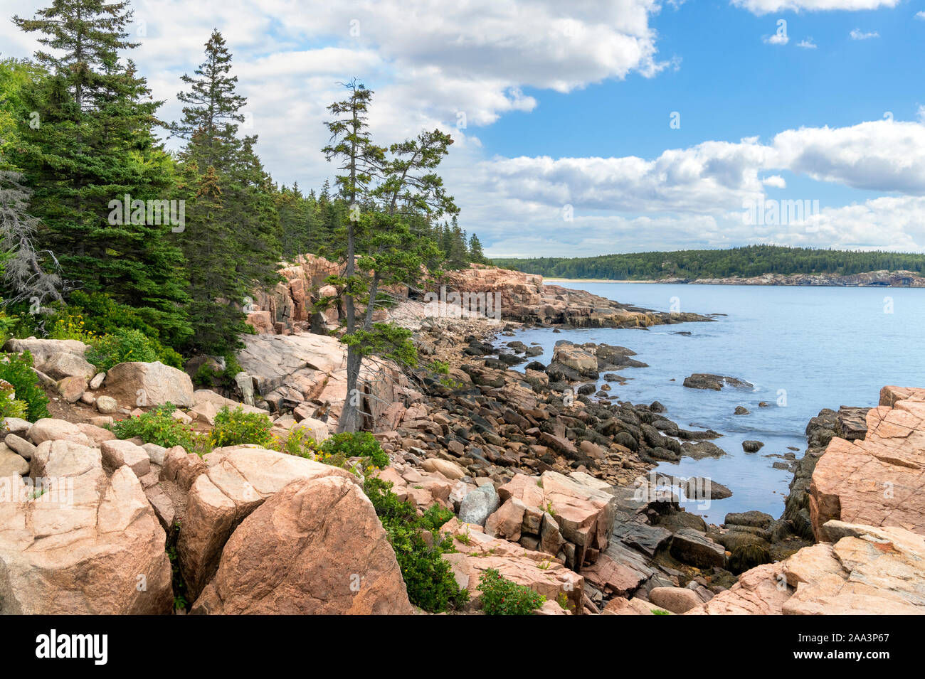 Die Küste in der Nähe von Thunder Loch in Acadia National Park, Maine, USA Stockfoto