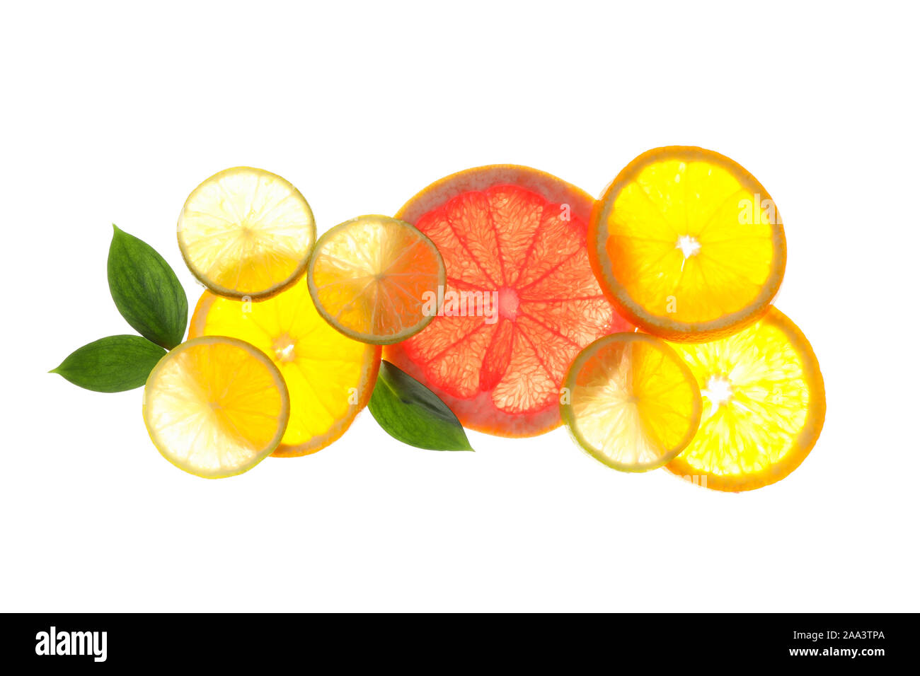 Hinterleuchtete Scheiben von Grapefruit und Zitrone auf weißem Hintergrund Stockfoto