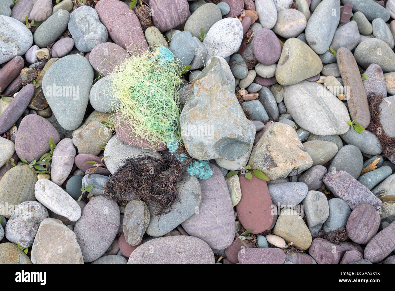 Angelschnur Abgase auf Pebble Beach, St Braut, Neufundland und Labrador, Kanada Stockfoto