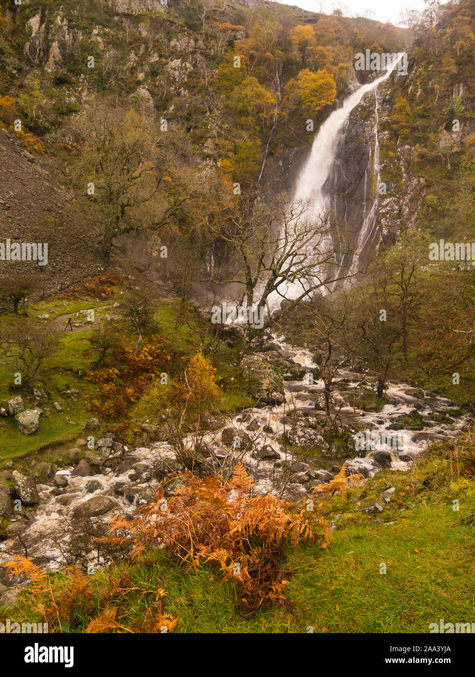 Aber Falls Wasserfall Hochwasser und Rhaeadr Fawr Fluss nach Tagen der Regen Coedydd Aber National Nature Reserve Abergwyngregn Gwynedd Norden Wa Stockfoto